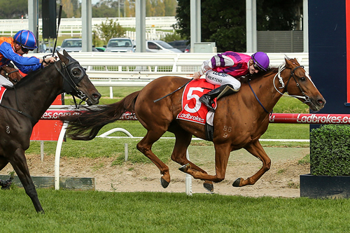 METROPOLITAN WIN NUMBER 8 FOR ONPICALO..